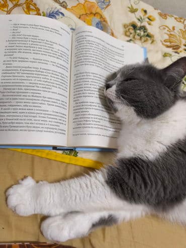 Purina Pro Plan VD HA — Hypoallergenic Feline Hypoallergenic Hypoallergenic
