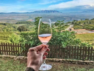 Champagne Tasting in Reims for Two