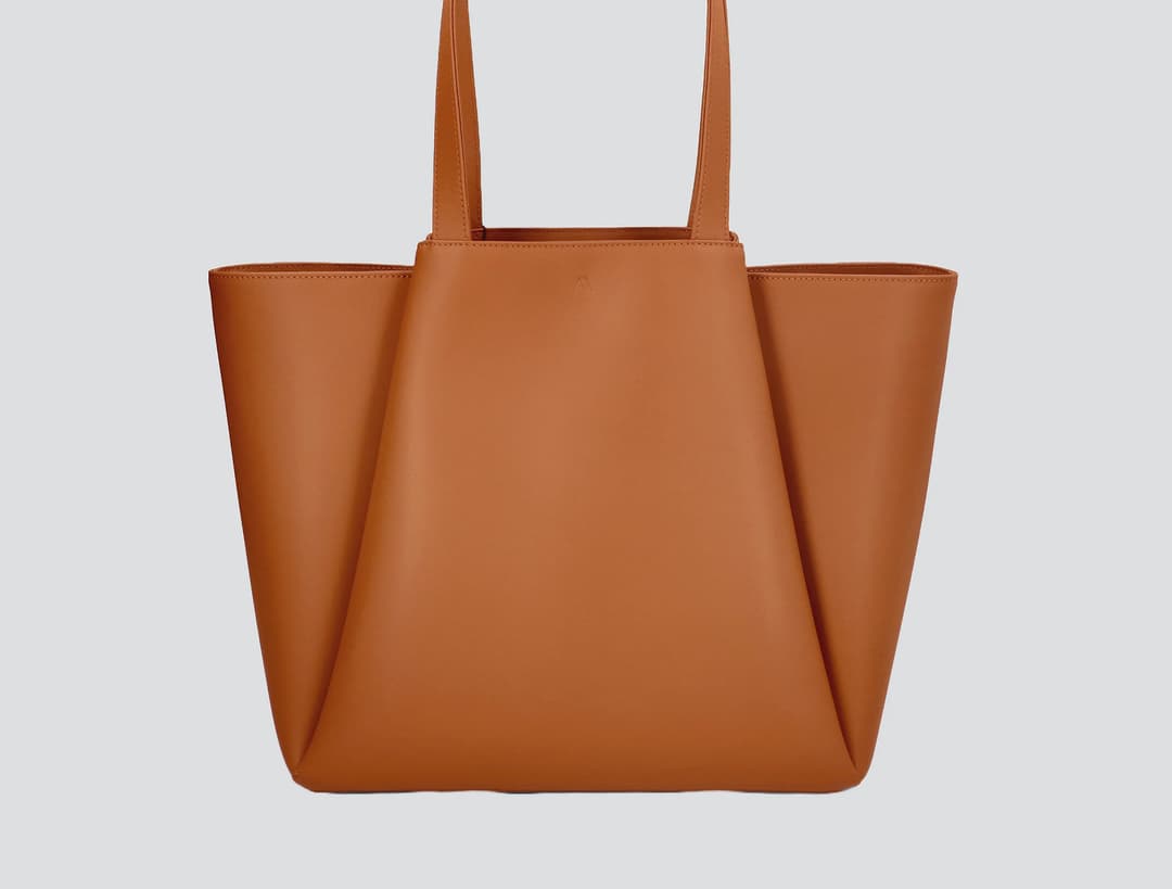 Cuyana Classic Leather Tote
