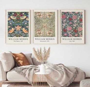 Set of 3 Vintage Botanical Prints